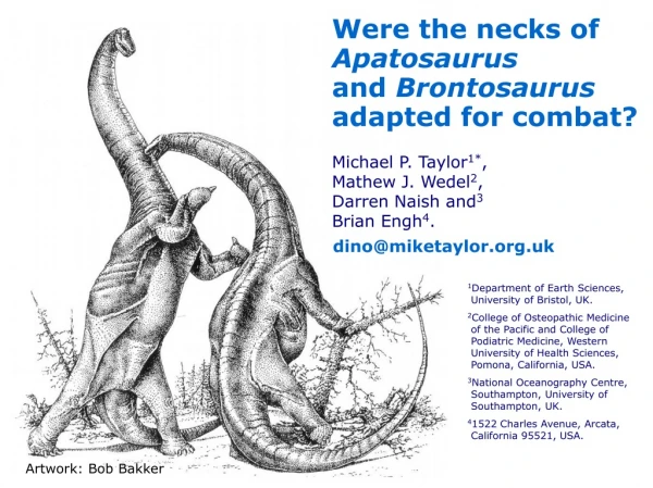 Were the necks of Apatosaurus and  Brontosaurus adapted for combat?