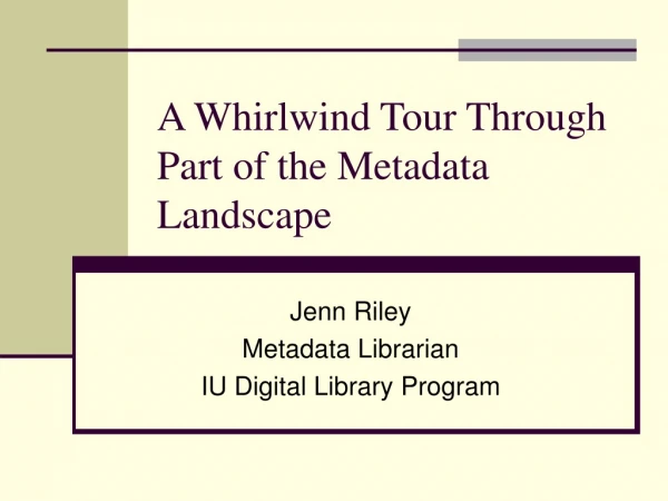 A Whirlwind Tour Through Part of the Metadata Landscape
