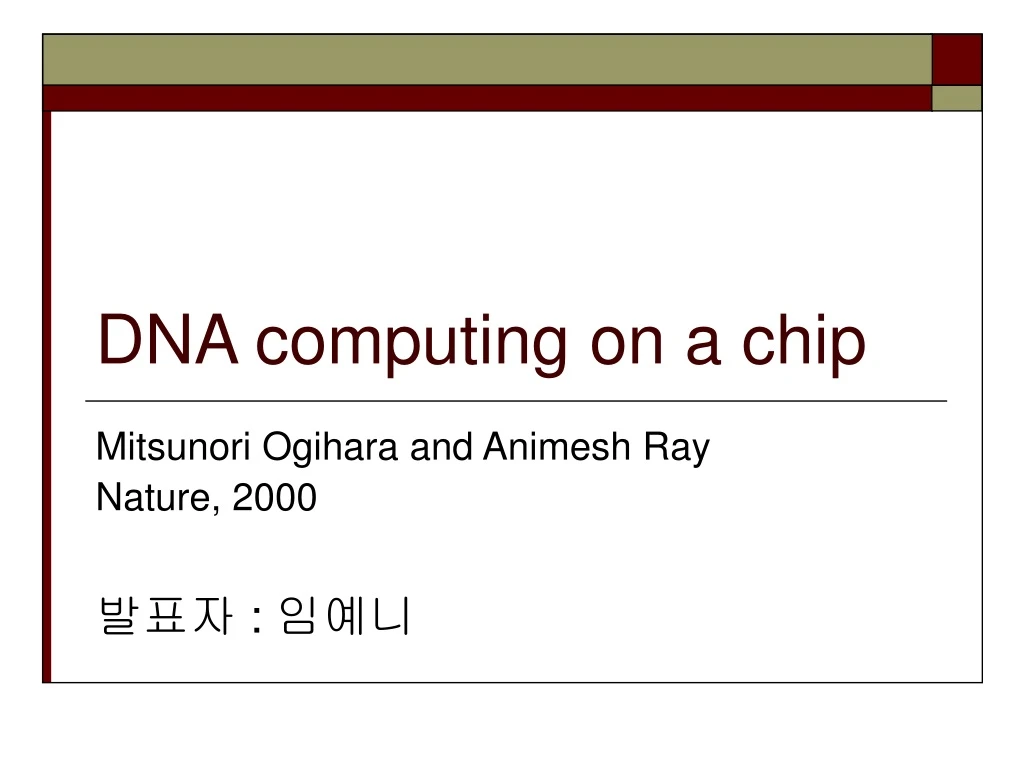 dna computing on a chip