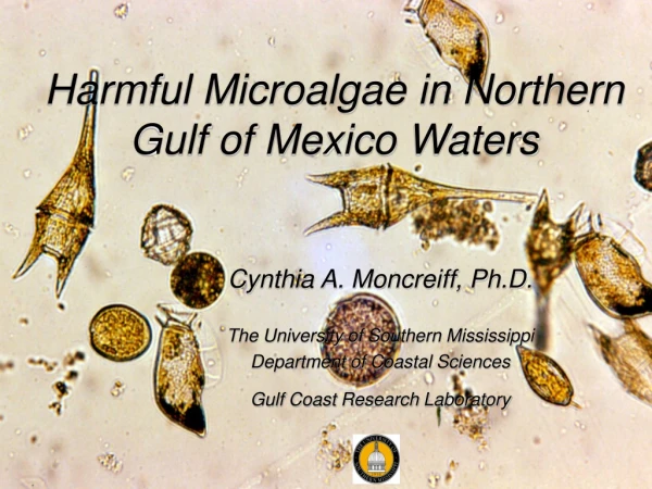 Harmful Microalgae in Northern Gulf of Mexico Waters