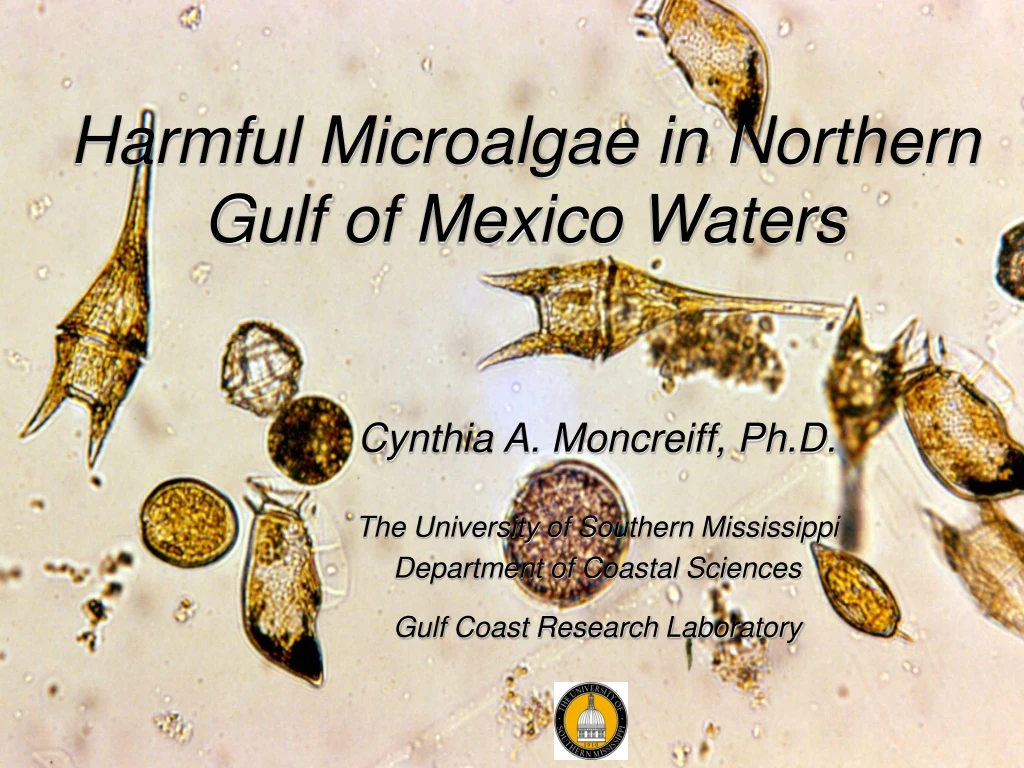 harmful microalgae in northern gulf of mexico
