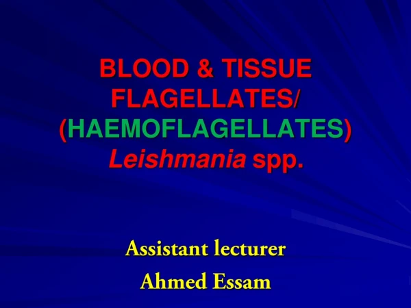 BLOOD &amp; TISSUE FLAGELLATES/ ( HAEMOFLAGELLATES ) Leishmania  spp.