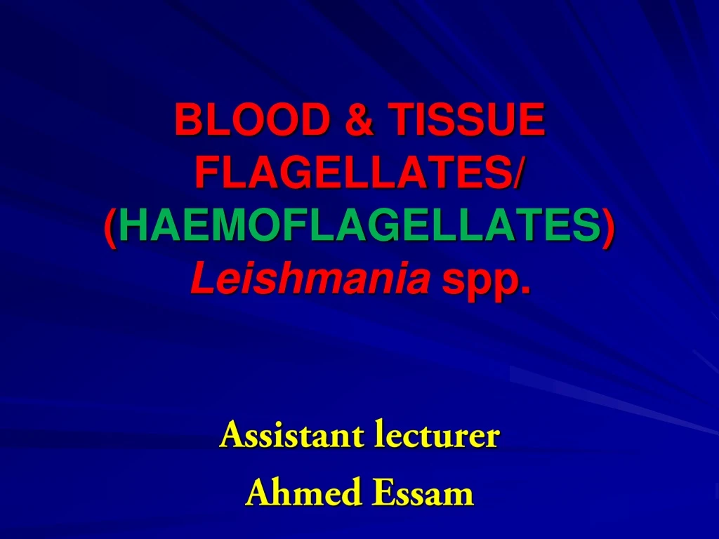 blood tissue flagellates haemoflagellates leishmania spp