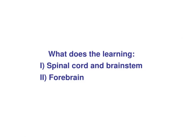 What does the learning: