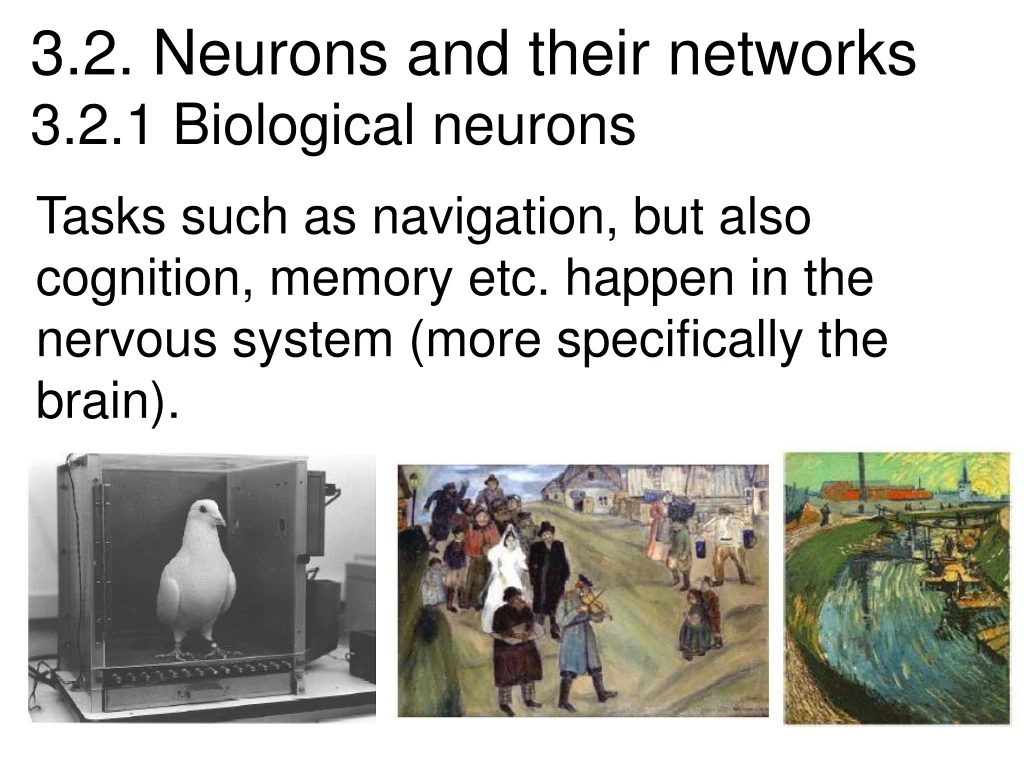 3 2 neurons and their networks 3 2 1 biological