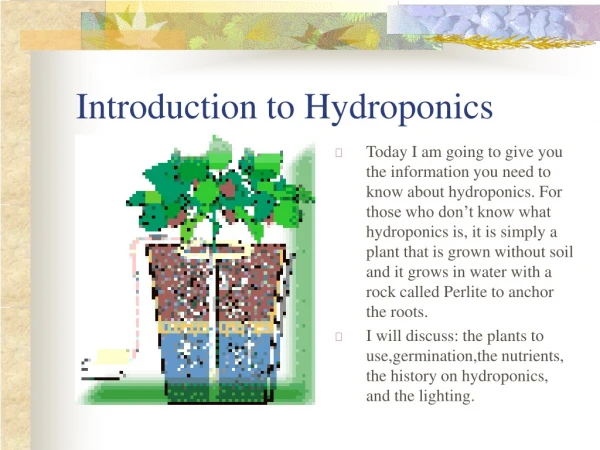 Introduction to Hydroponics