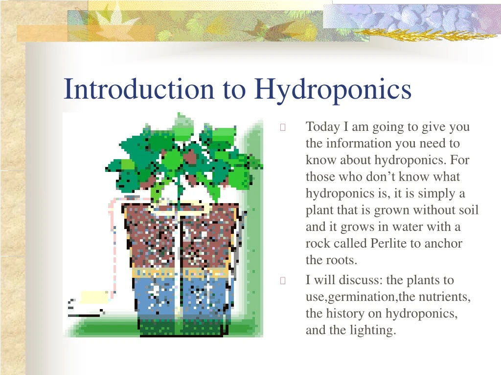 introduction to hydroponics