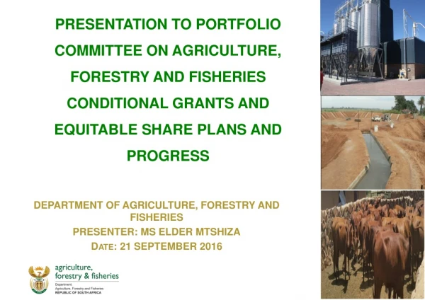 DEPARTMENT OF AGRICULTURE, FORESTRY AND FISHERIES PRESENTER: MS ELDER MTSHIZA