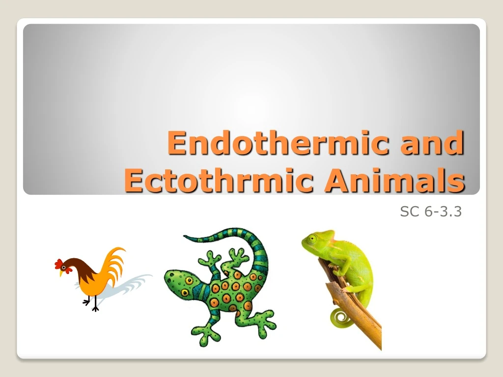 endothermic and ectothrmic animals