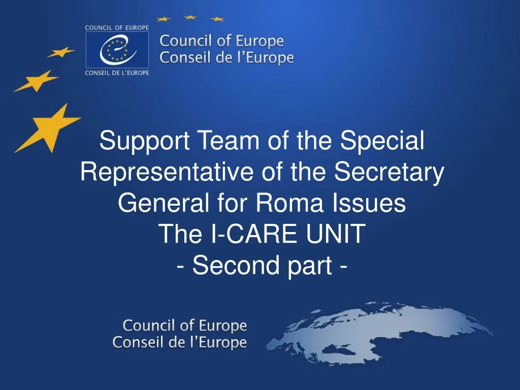 support team of the special representative