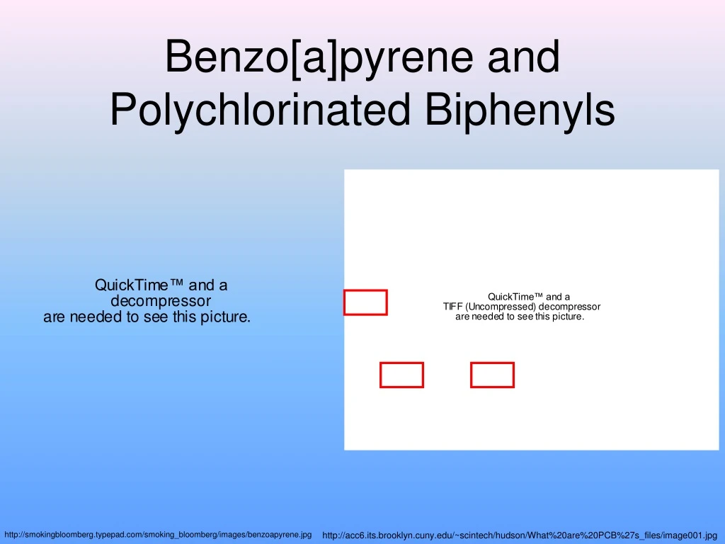 benzo a pyrene and polychlorinated biphenyls