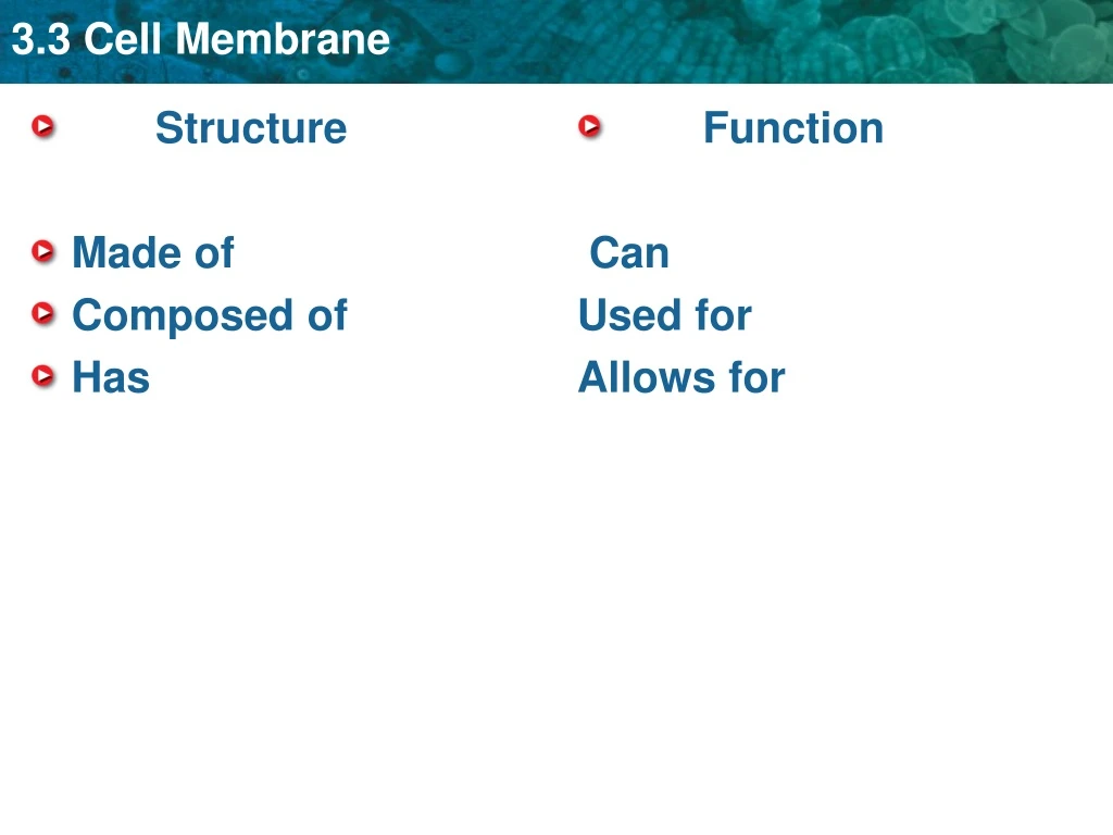 structure made of composed of has