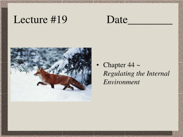 Lecture #19              Date________