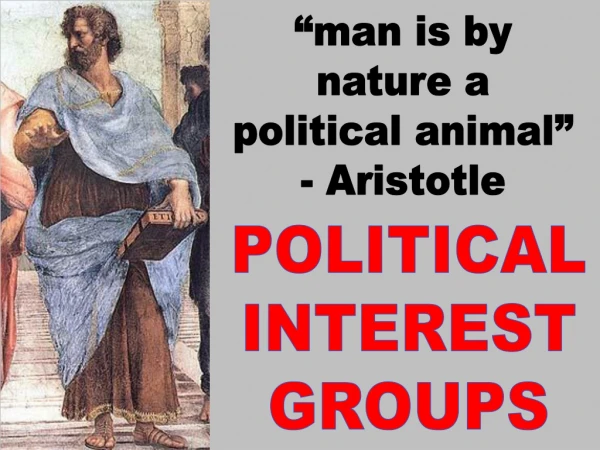 POLITICAL INTEREST GROUPS