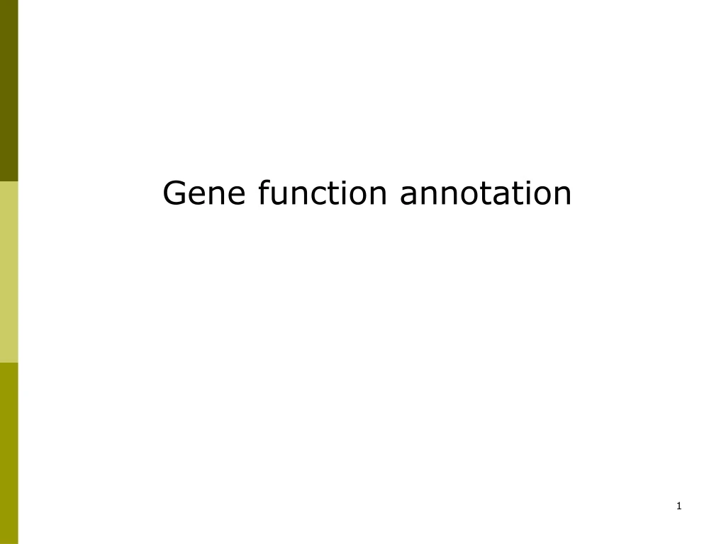 gene function annotation