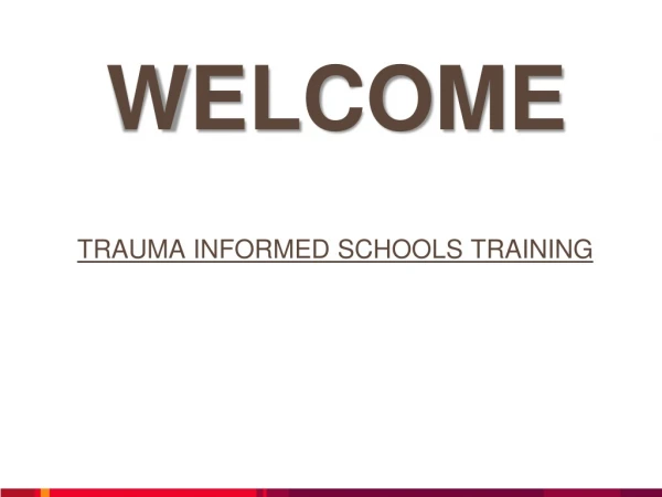 TRAUMA INFORMED SCHOOLS TRAINING