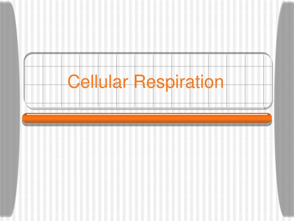 cellular respiration