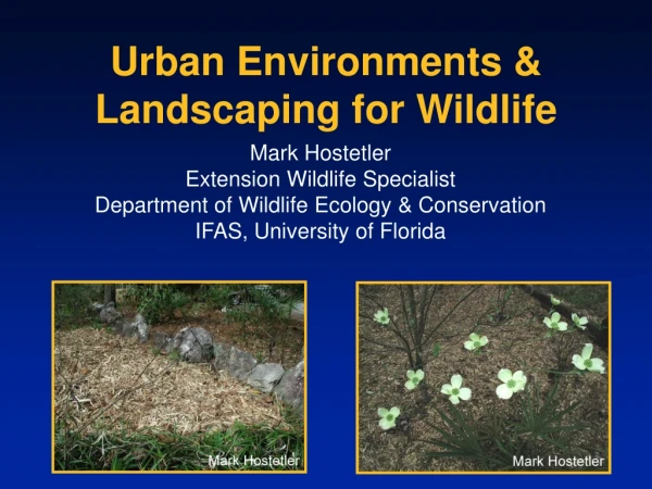 Urban Environments &amp; Landscaping for Wildlife