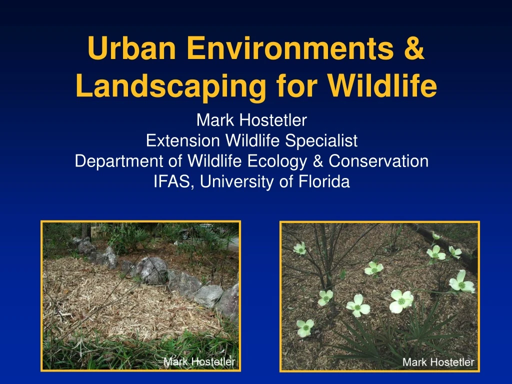 urban environments landscaping for wildlife