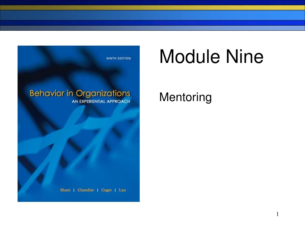 module nine mentoring