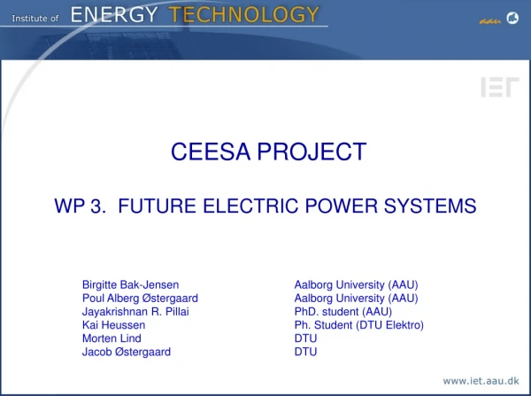 CEESA PROJECT  WP 3.  FUTURE ELECTRIC POWER SYSTEMS