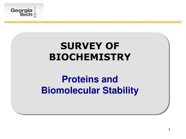 SURVEY OF BIOCHEMISTRY Proteins and  Biomolecular Stability