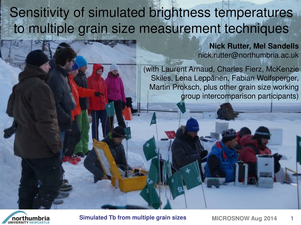 sensitivity of simulated brightness temperatures