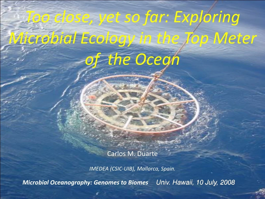 too close yet so far exploring microbial ecology