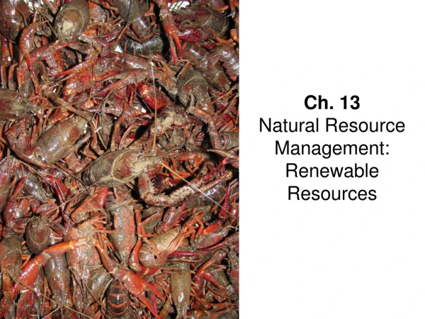 Ch. 13 Natural Resource Management: Renewable Resources