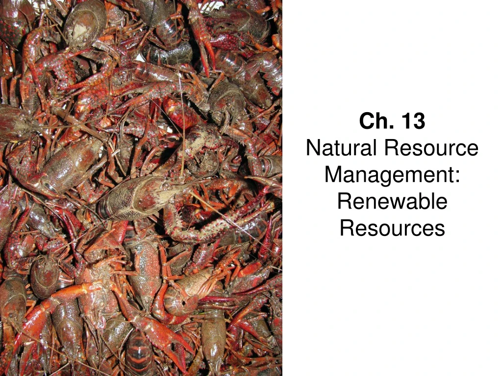 ch 13 natural resource management renewable