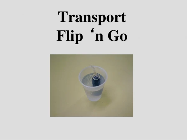 Transport Flip  ‘ n Go