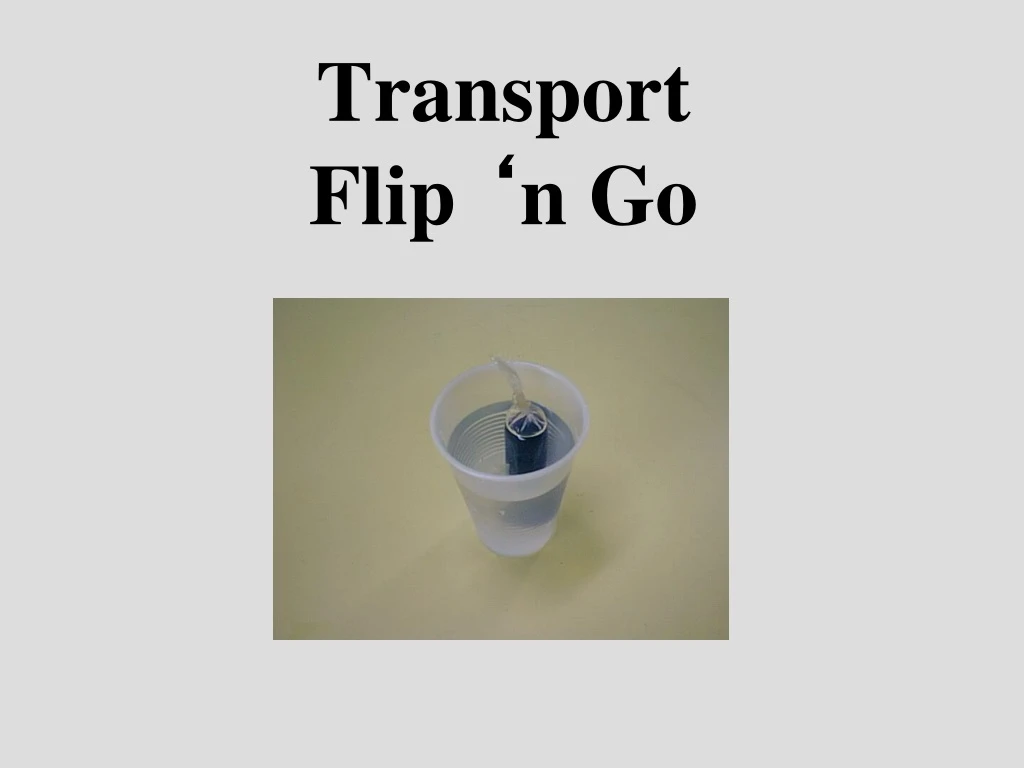 transport flip n go