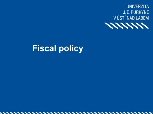 Fiscal policy