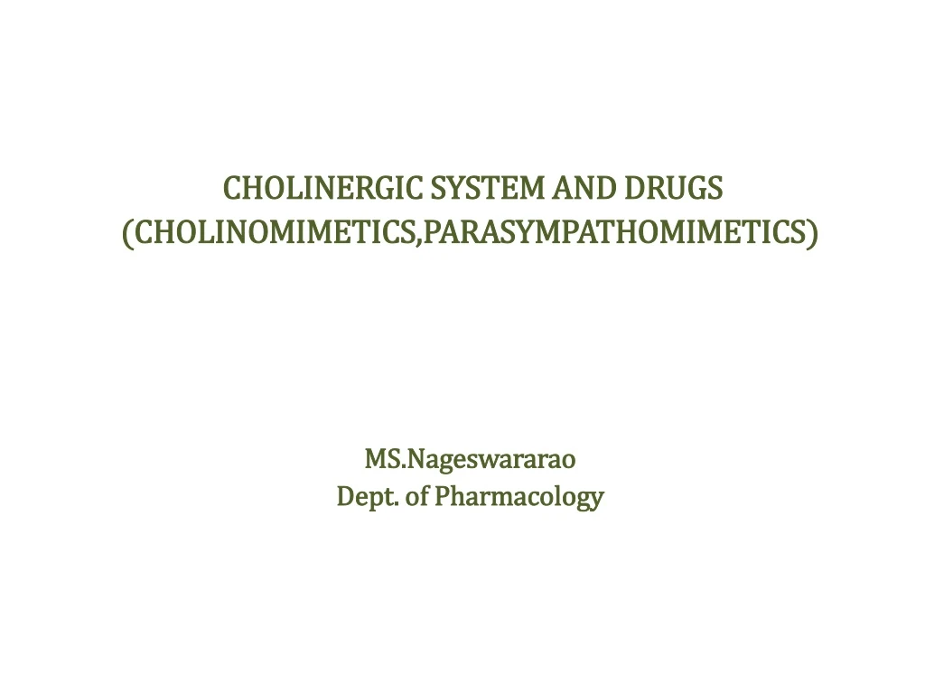 cholinergic system and drugs cholinomimetics