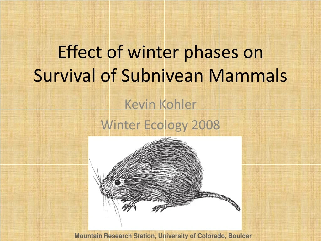 effect of winter phases on survival of subnivean mammals