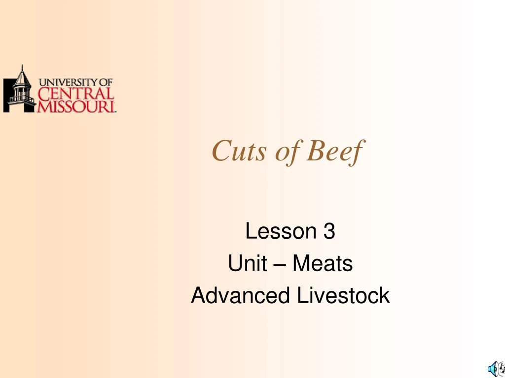 cuts of beef