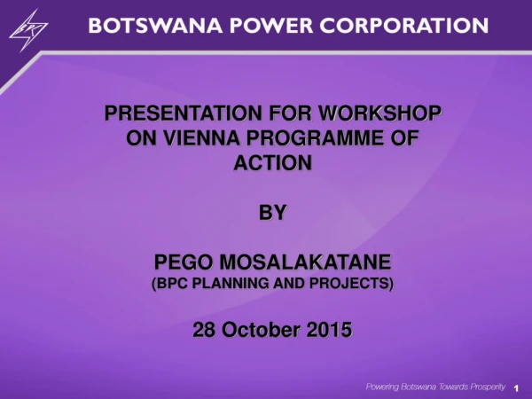 PRESENTATION FOR WORKSHOP ON VIENNA PROGRAMME OF ACTION BY PEGO MOSALAKATANE