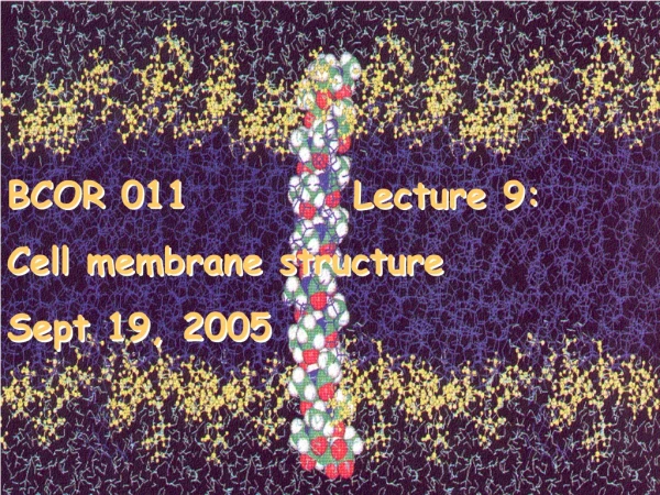 BCOR 011			 Lecture 9:  Cell membrane structure   Sept 19, 2005