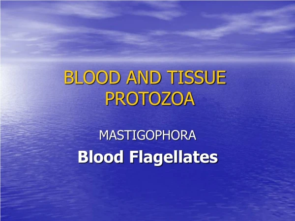 BLOOD AND TISSUE PROTOZOA