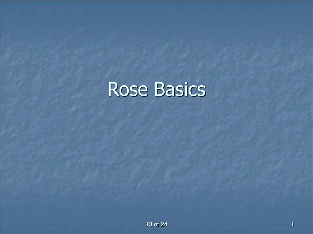 rose basics