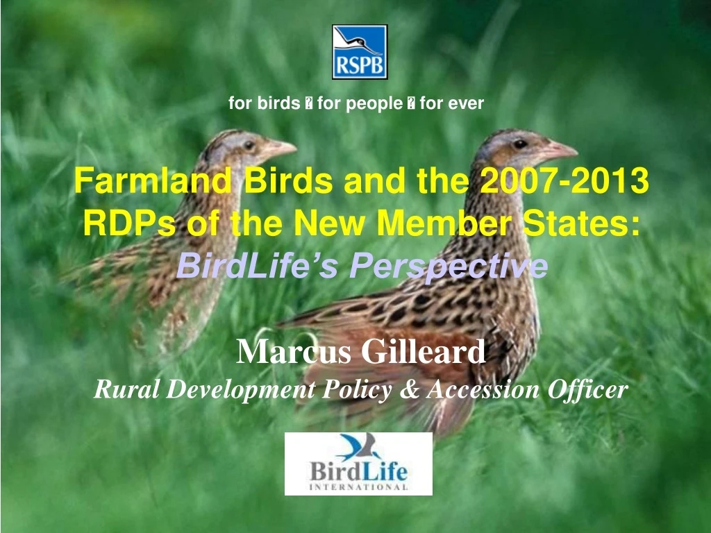 farmland birds and the 2007 2013 rdps