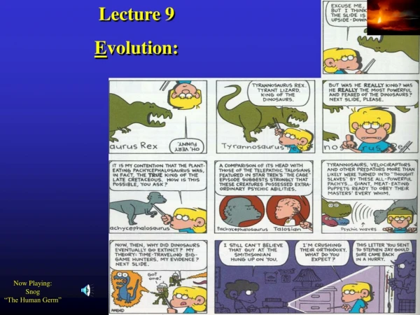 Lecture 9 E volution: