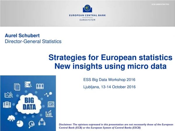 Strategies for European statistics New insights using micro data
