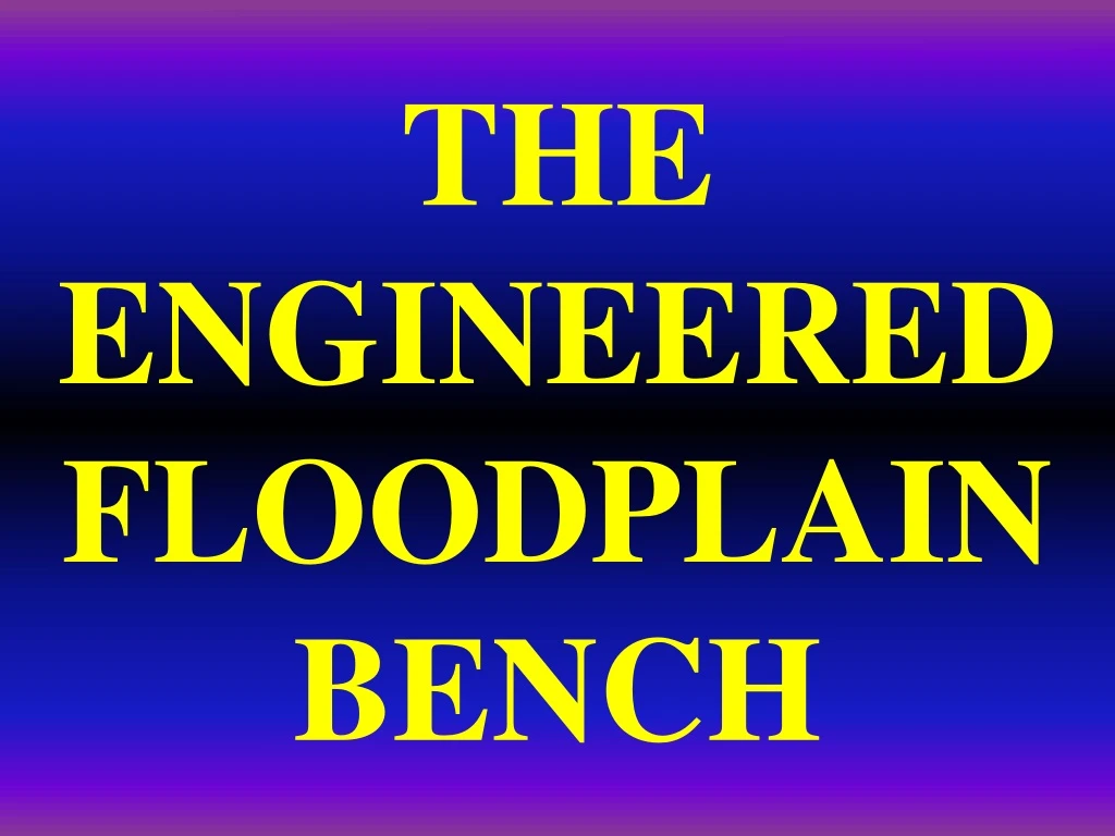 the engineered floodplain bench
