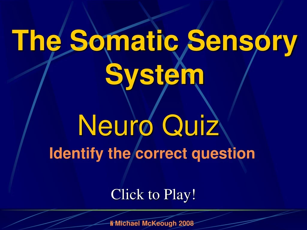 the somatic sensory system