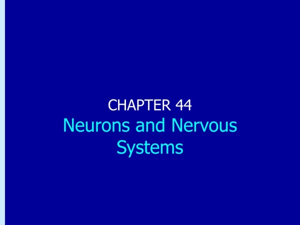 CHAPTER 44 Neurons and Nervous Systems