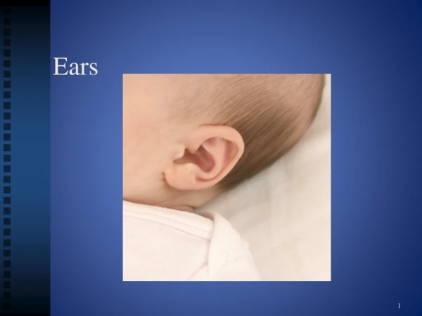 Ears