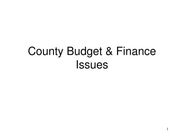 County Budget &amp; Finance Issues
