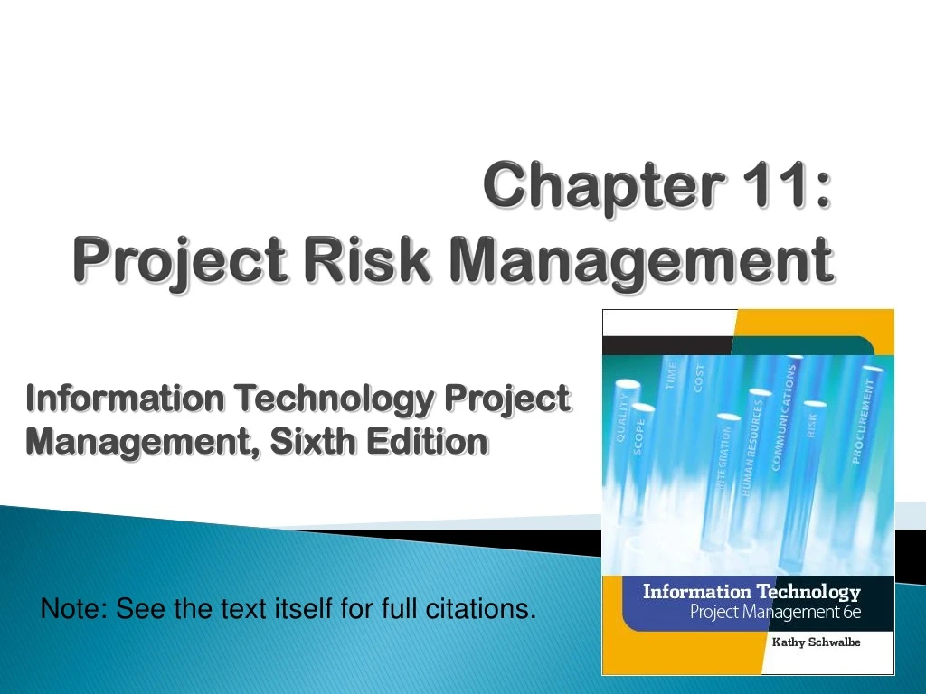 chapter 11 project risk management