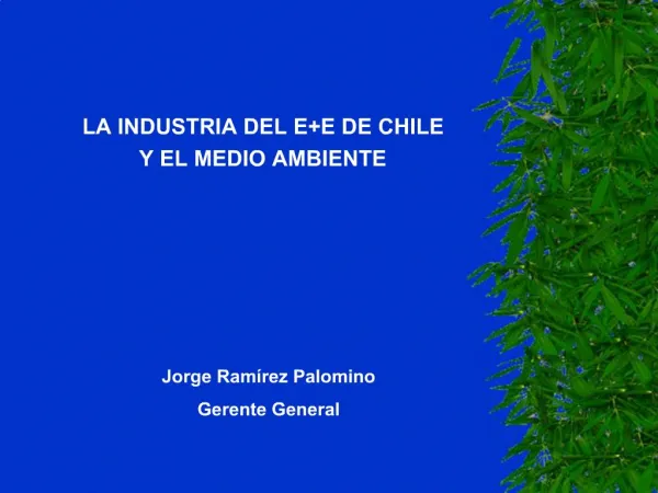 LA INDUSTRIA DEL EE DE CHILE Y EL MEDIO AMBIENTE